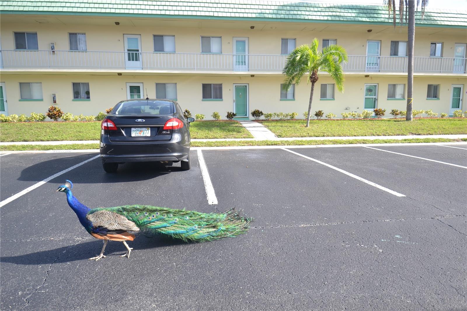 2003 GREENBRIAR BLVD #3, CLEARWATER, FL, 33763