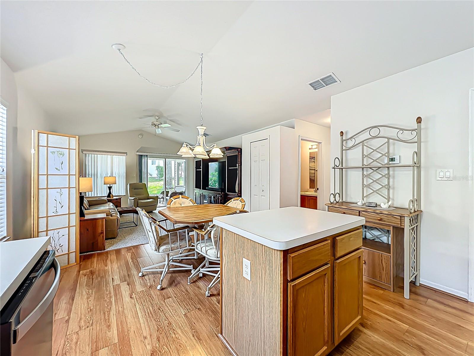 25044 CRANES ROOST CIR, LEESBURG, FL, 34748