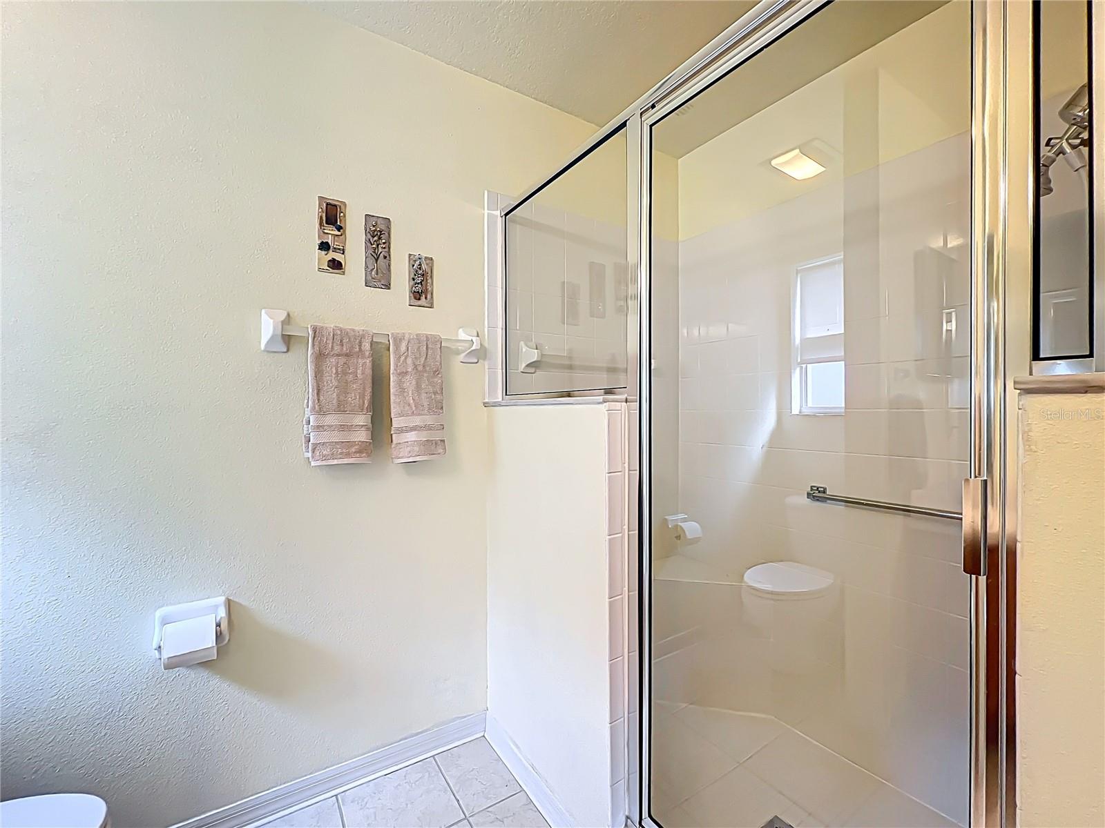 25044 CRANES ROOST CIR, LEESBURG, FL, 34748