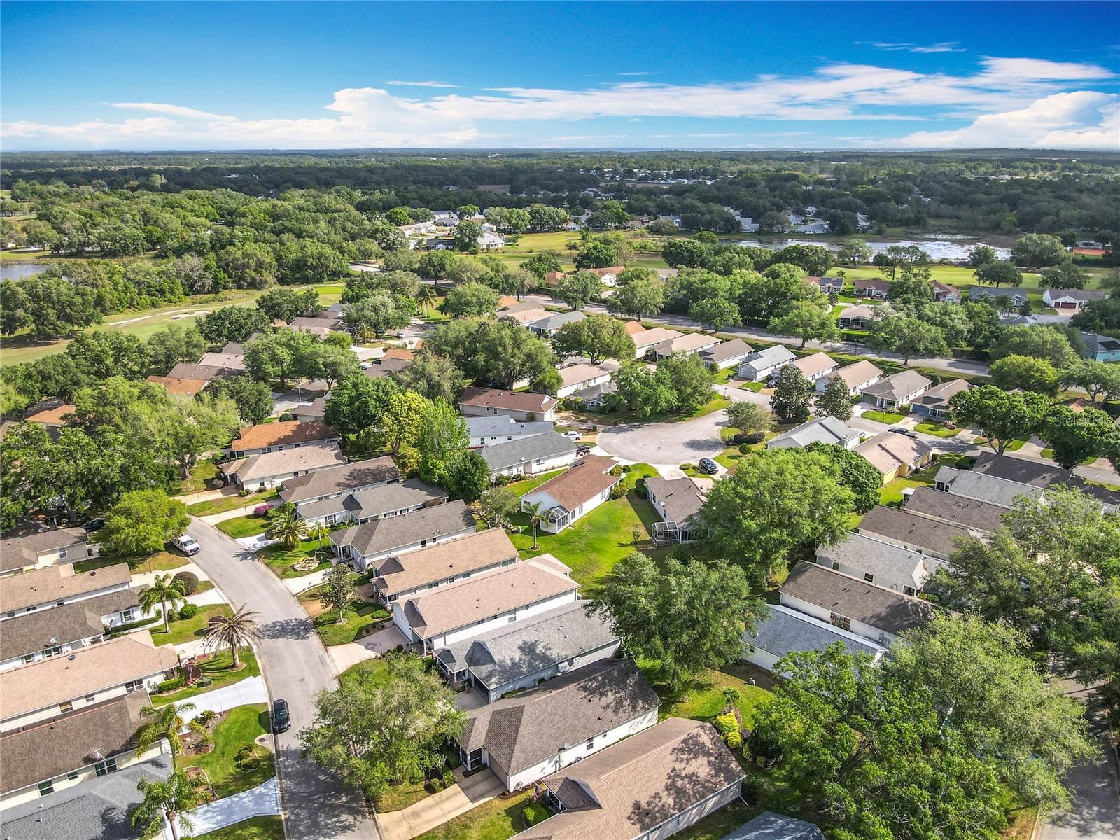 25044 CRANES ROOST CIR, LEESBURG, FL, 34748