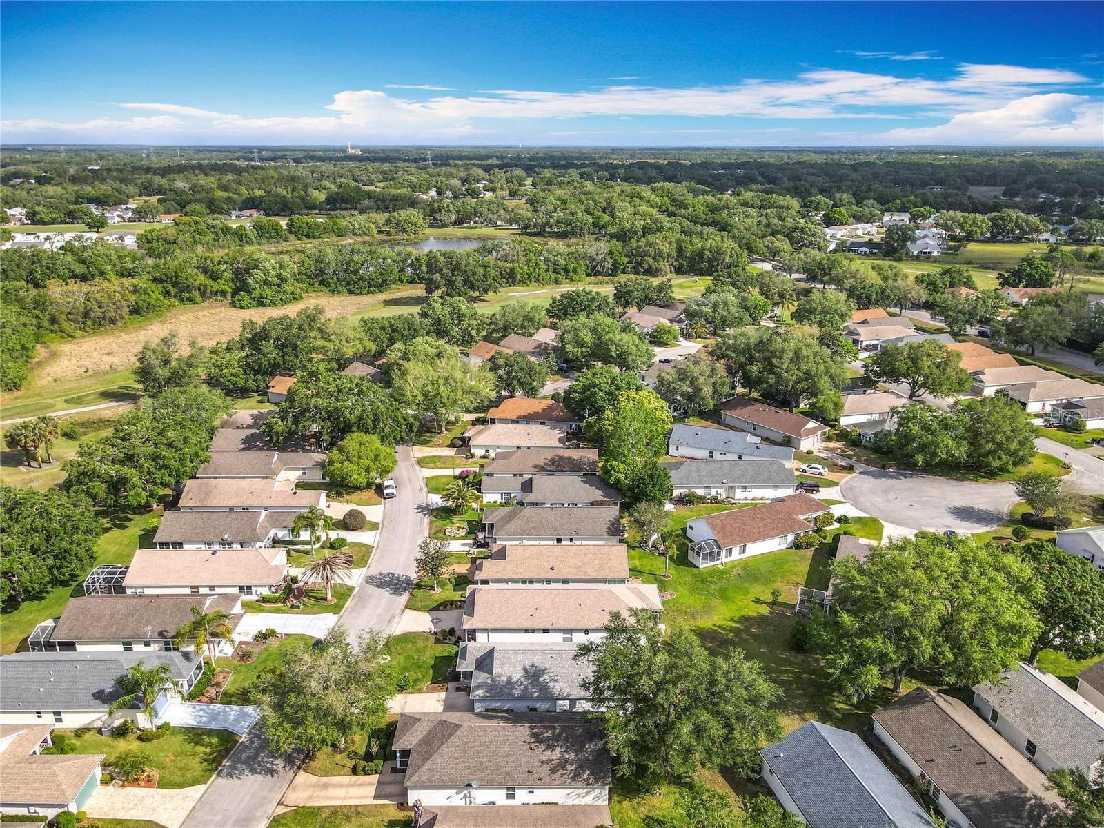 25044 CRANES ROOST CIR, LEESBURG, FL, 34748