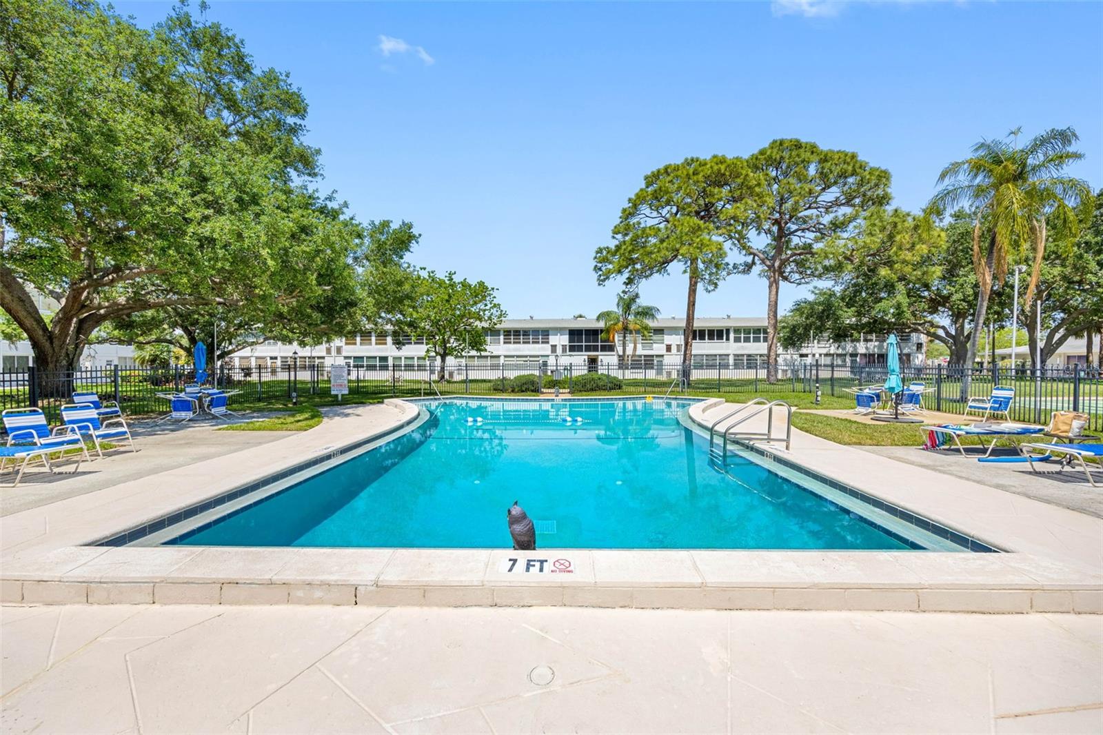 1000 79TH AVE N #211, ST PETERSBURG, FL, 33702