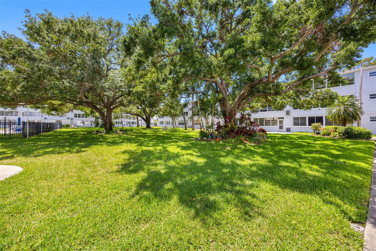 1000 79TH AVE N #211, ST PETERSBURG, FL, 33702
