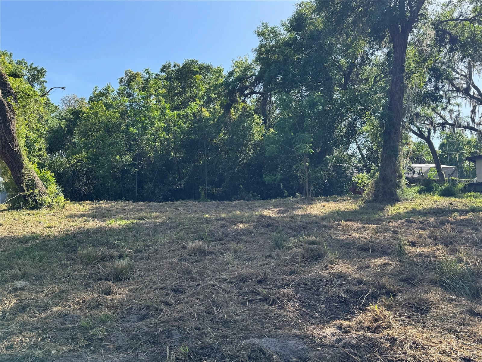 N PALM CIR, EUSTIS, FL, 32726