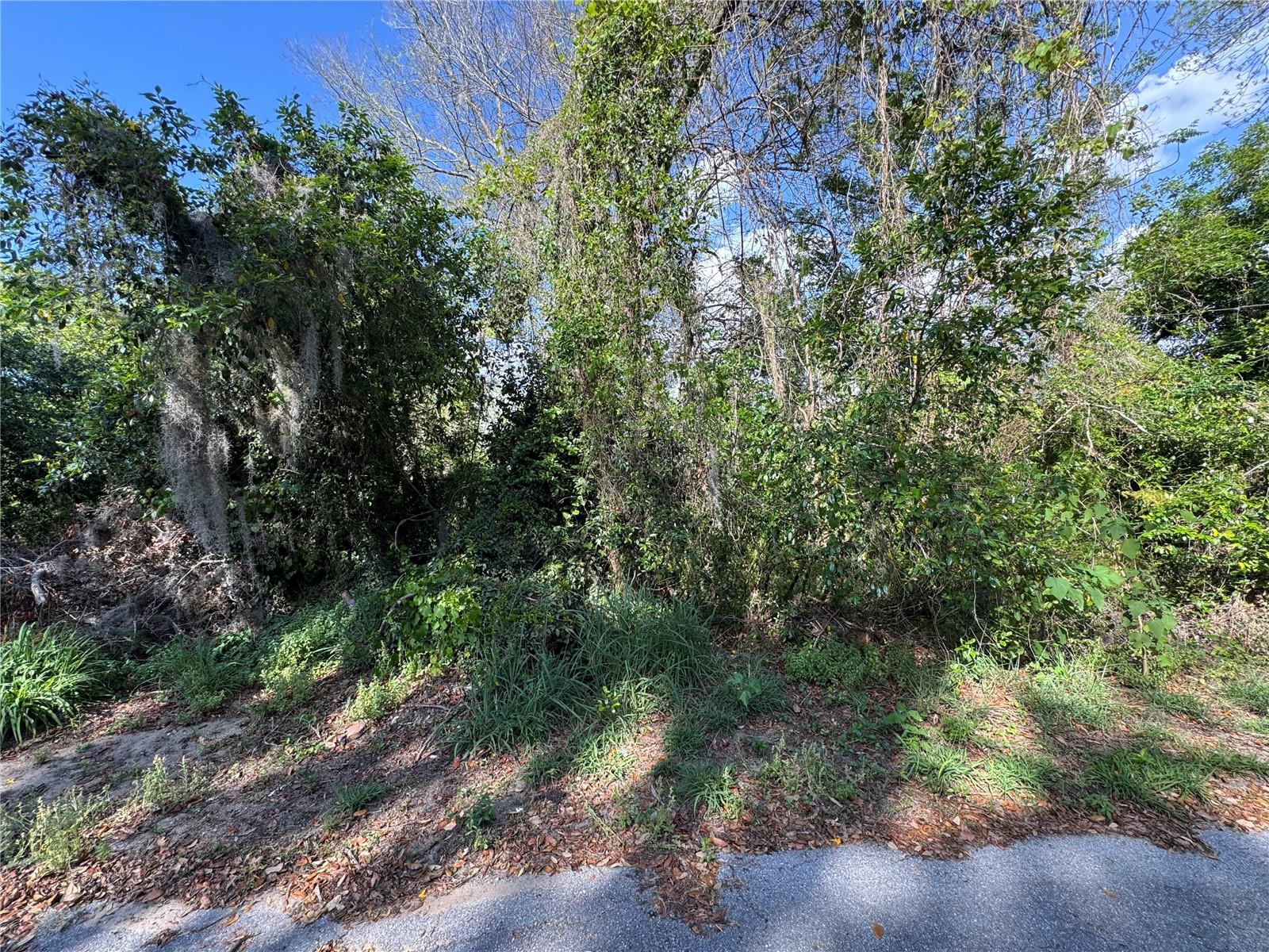 N PALM CIR, EUSTIS, FL, 32726