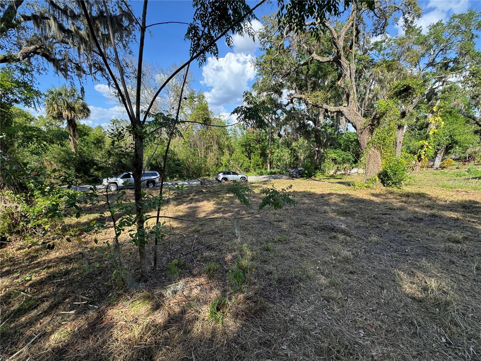 N PALM CIR, EUSTIS, FL, 32726