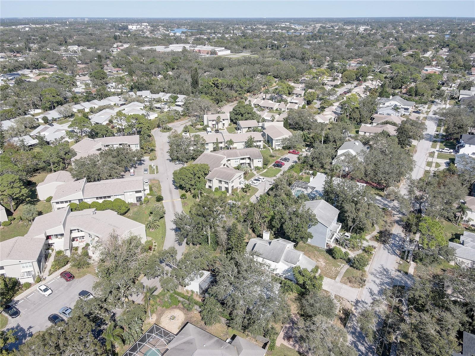 428 WINDRUSH BAY DR #428, TARPON SPRINGS, FL, 34689
