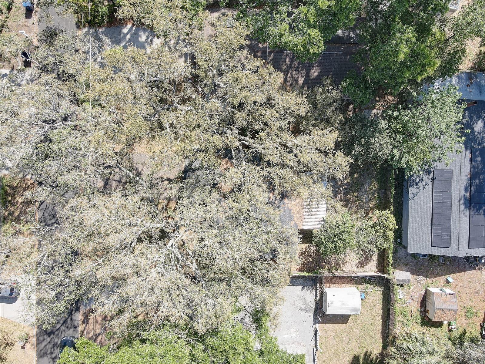 2009 E ESKIMO AVE, TAMPA, FL, 33604