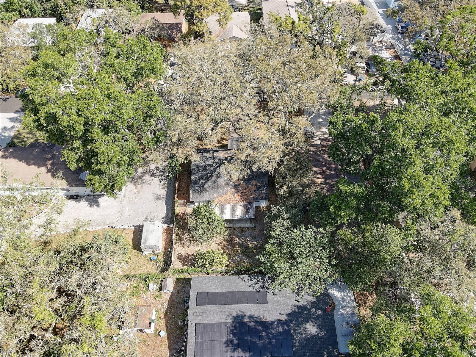 2009 E ESKIMO AVE, TAMPA, FL, 33604