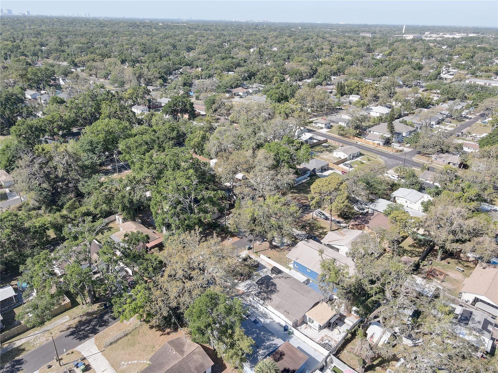 2009 E ESKIMO AVE, TAMPA, FL, 33604