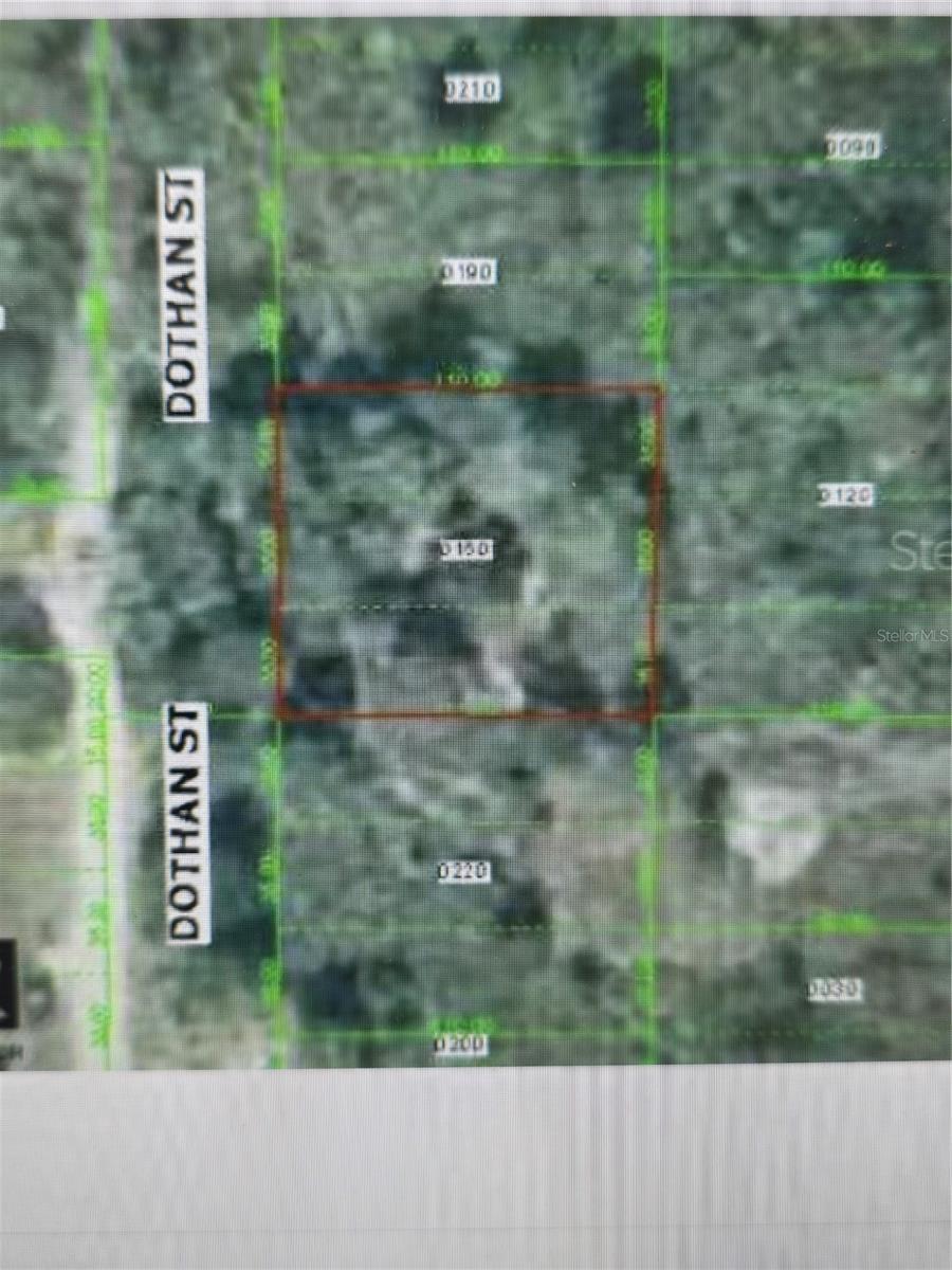 0 DOTHAN, NEW PORT RICHEY, FL, 34654