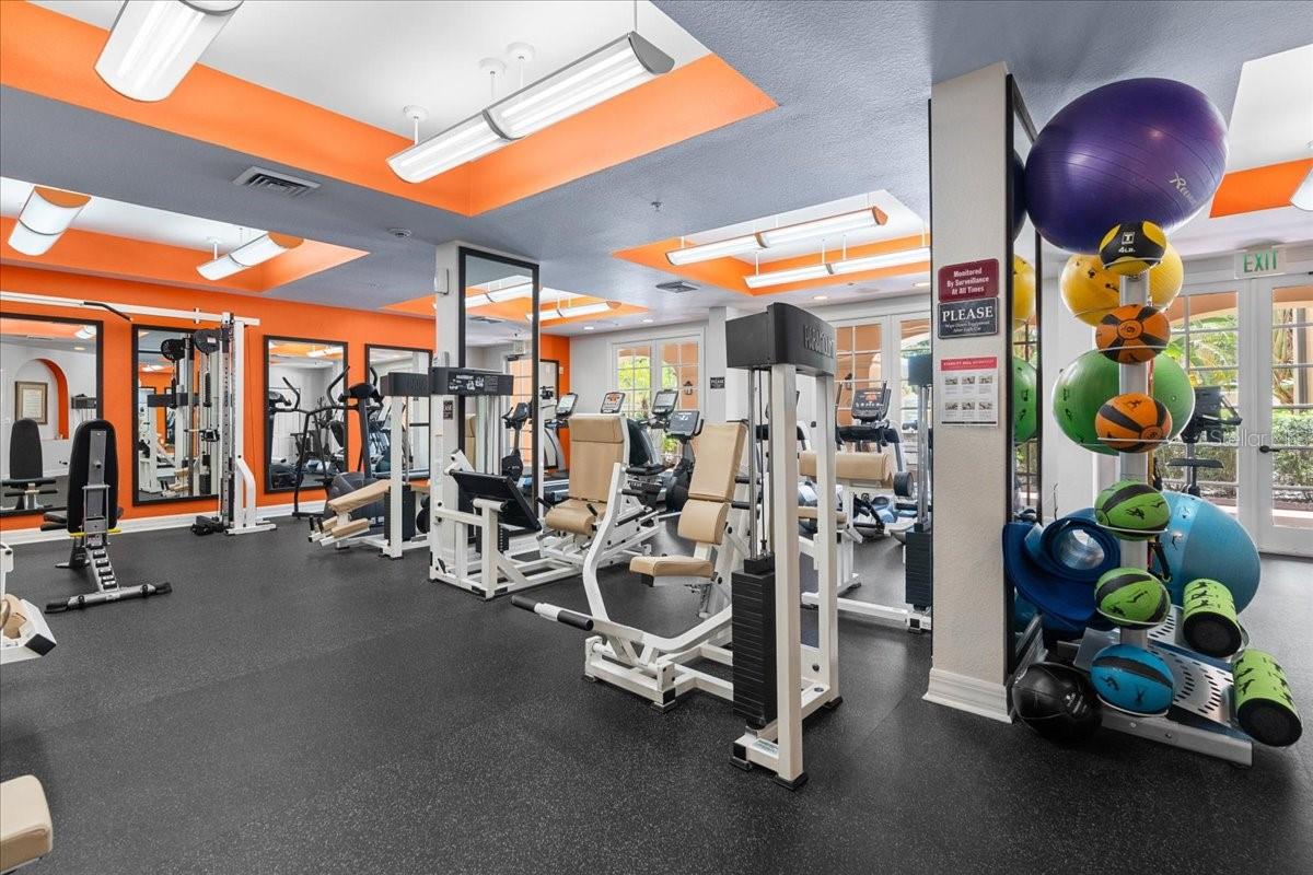 501 MIRASOL CIR #519, CELEBRATION, FL, 34747