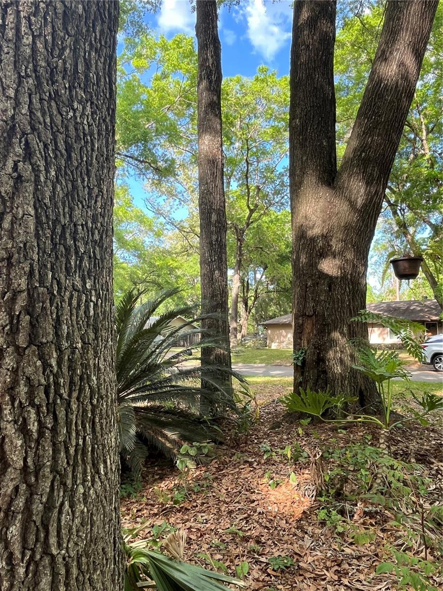216 SW 75TH TER, GAINESVILLE, FL, 32607