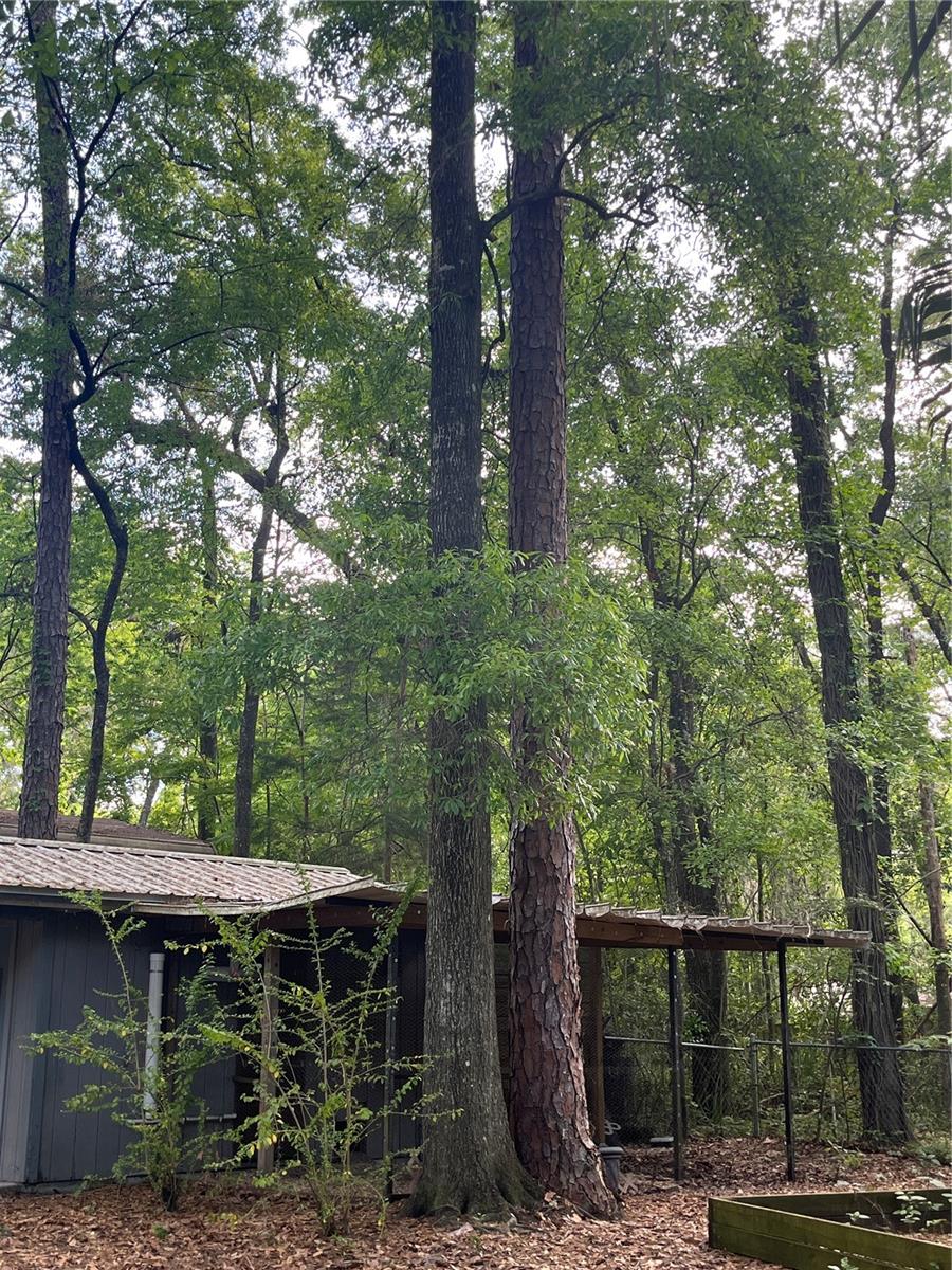 216 SW 75TH TER, GAINESVILLE, FL, 32607