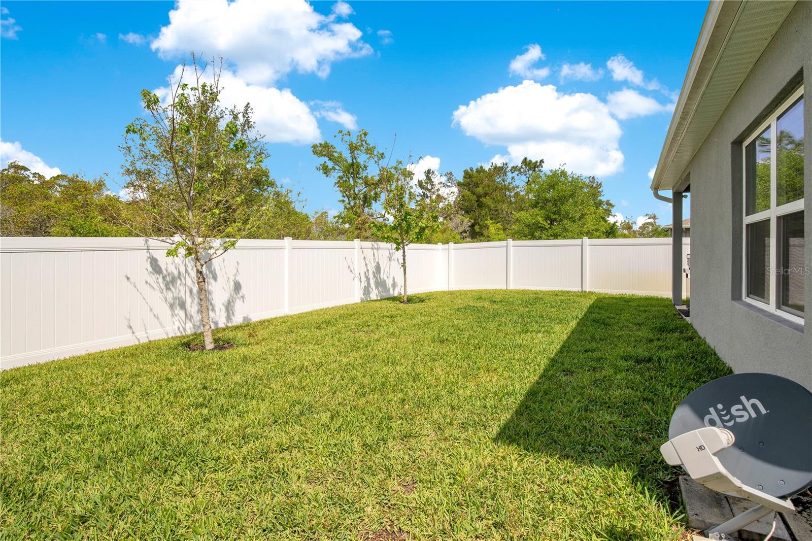 7068 LANIER FALLS RD, DELAND, FL, 32724