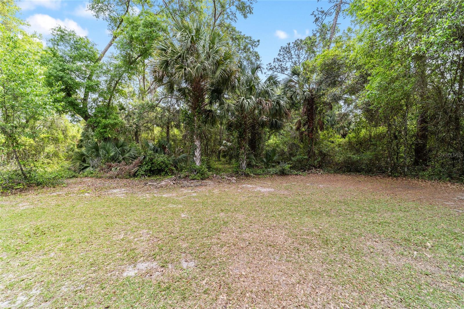 15 SEQUOIA LOOP CT, OCKLAWAHA, FL, 32179