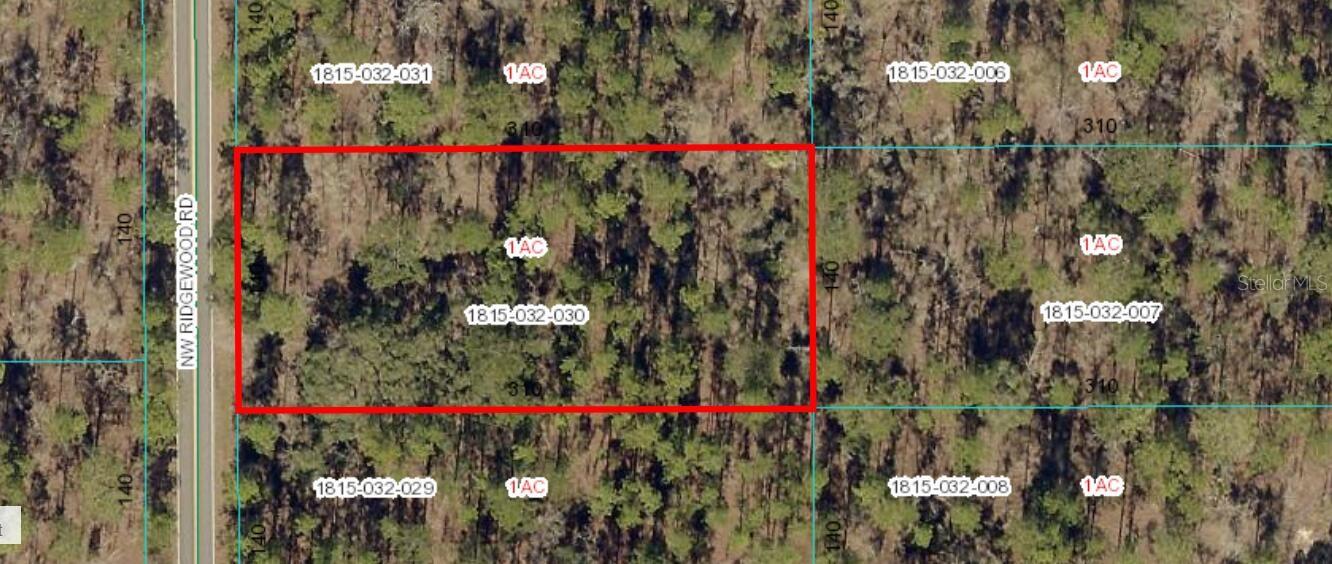 NW RIDGEWOOD RD, DUNNELLON, FL, 34431
