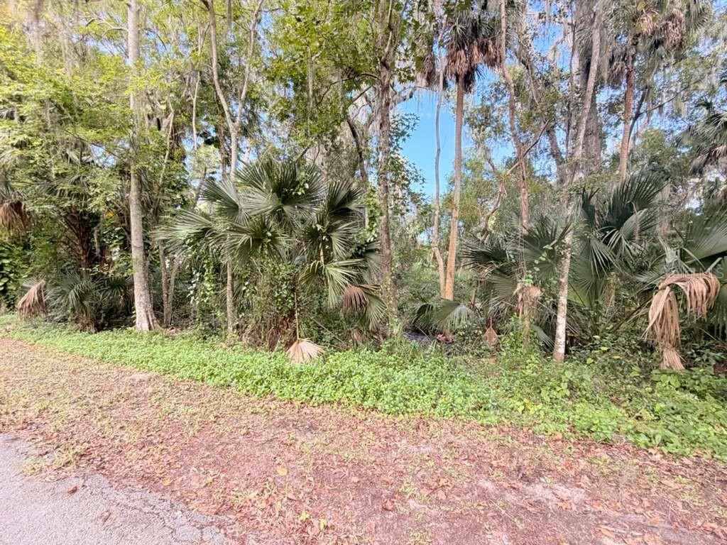 242 FRASER RD, DEBARY, FL, 32713
