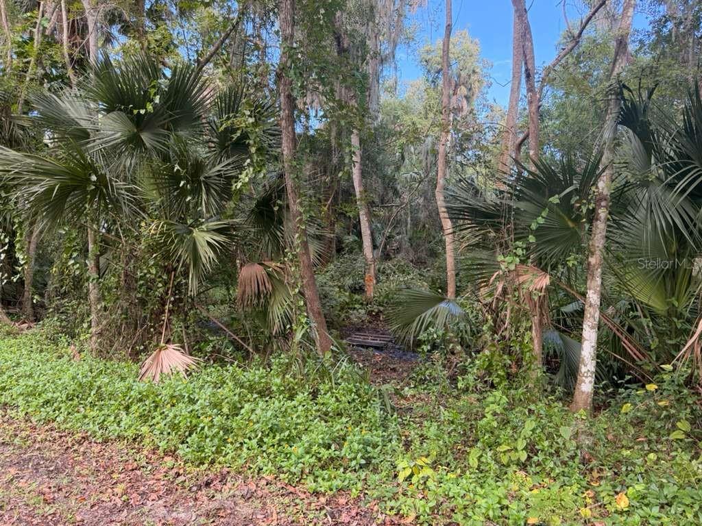 242 FRASER RD, DEBARY, FL, 32713