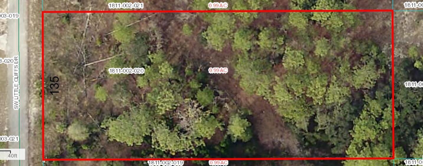 SW LITTLE CLIFFS DR, DUNNELLON, FL, 34431