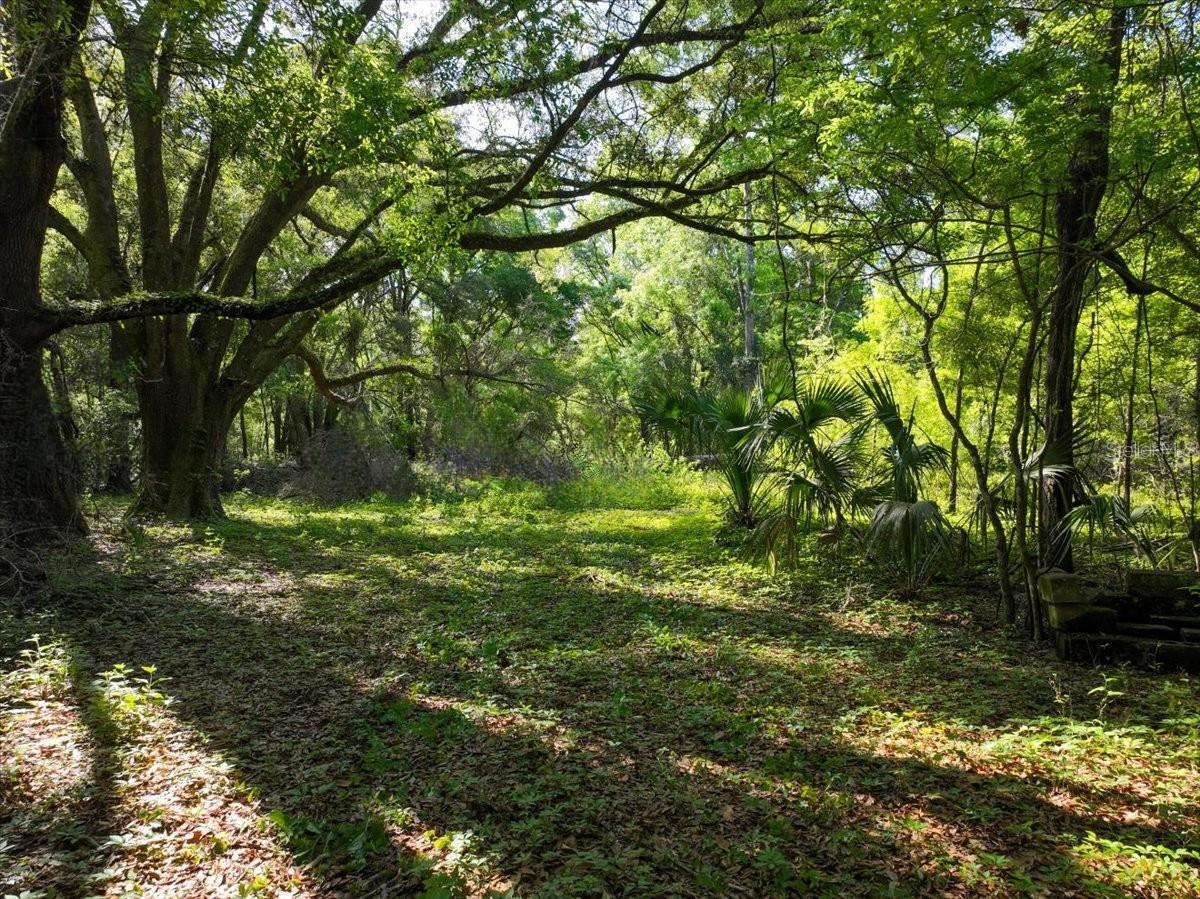 15422 SW 50TH AVE, ARCHER, FL, 32618