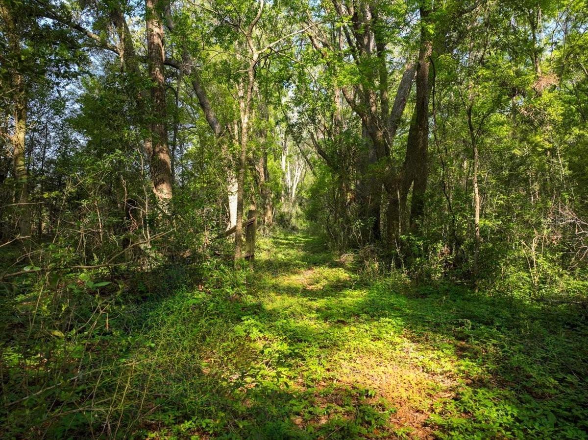 15422 SW 50TH AVE, ARCHER, FL, 32618