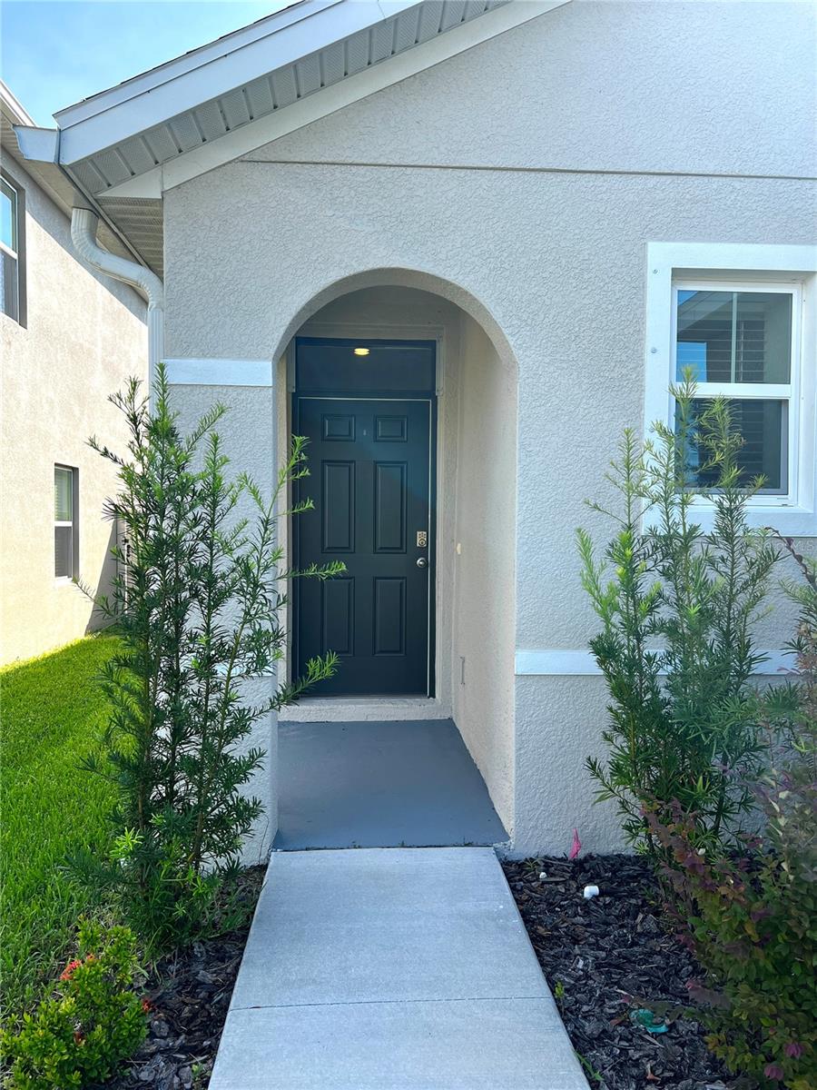 16034 SOFT FERN TRCE, ODESSA, FL, 33556
