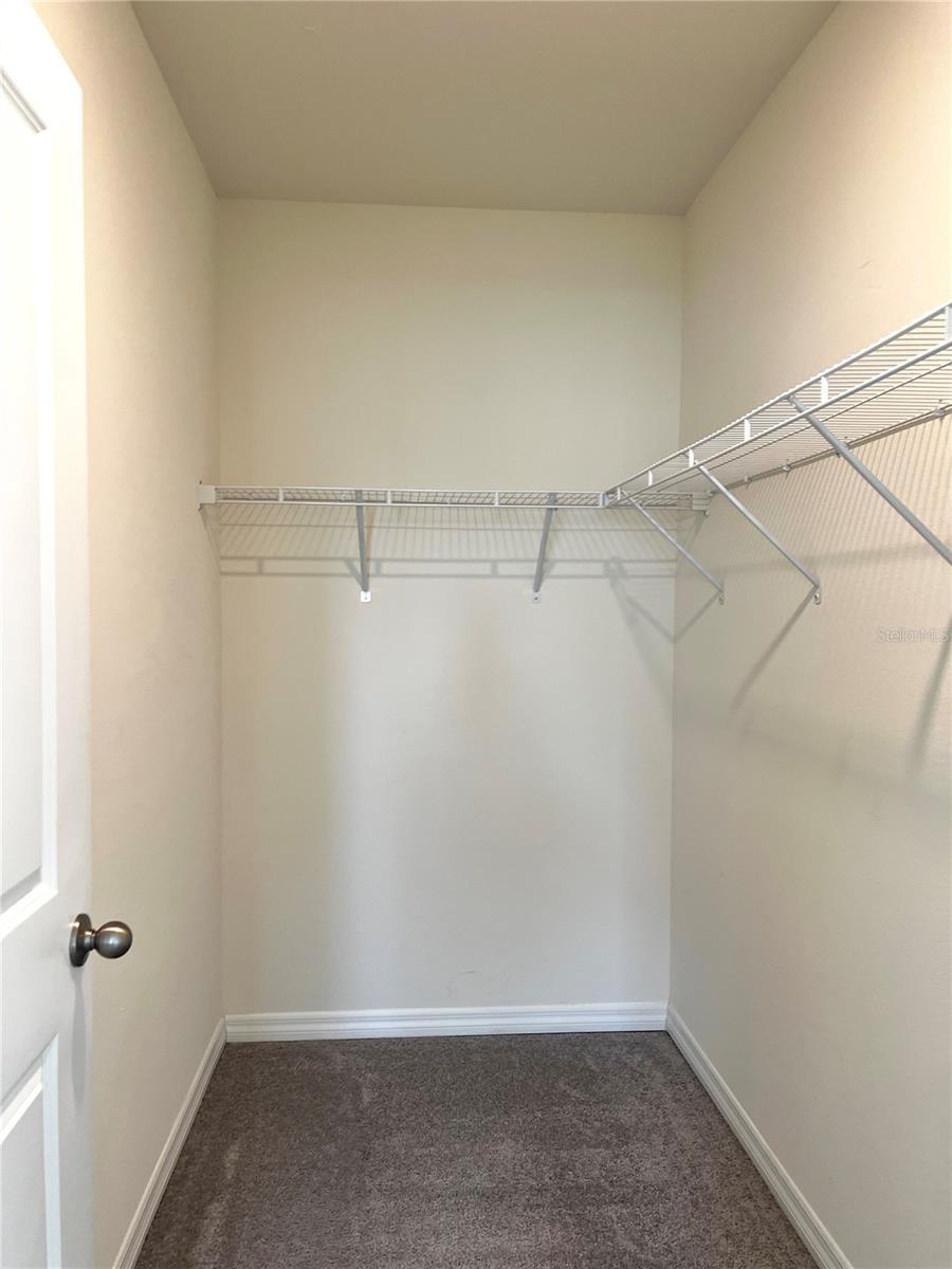 16034 SOFT FERN TRCE, ODESSA, FL, 33556
