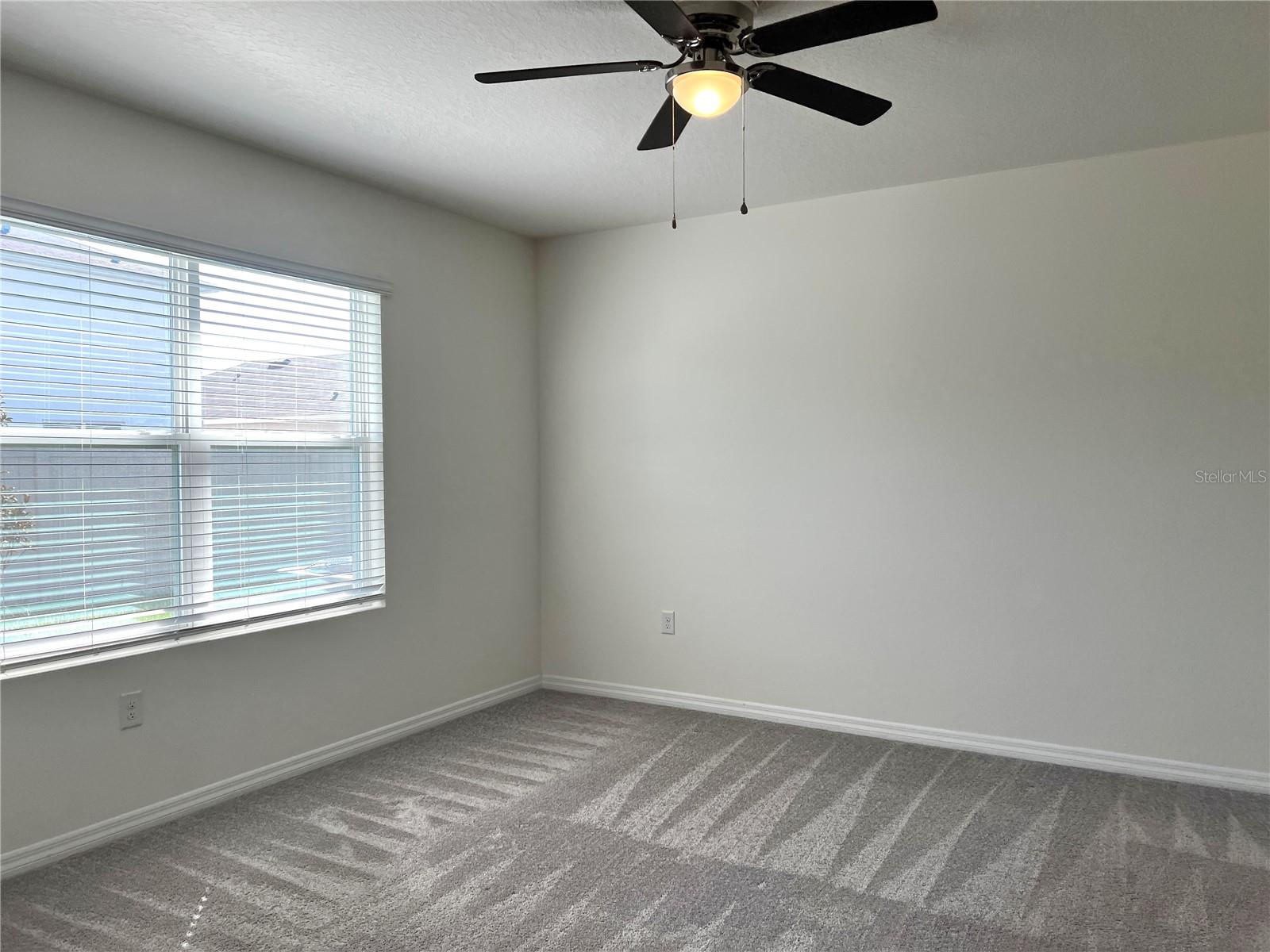 16034 SOFT FERN TRCE, ODESSA, FL, 33556