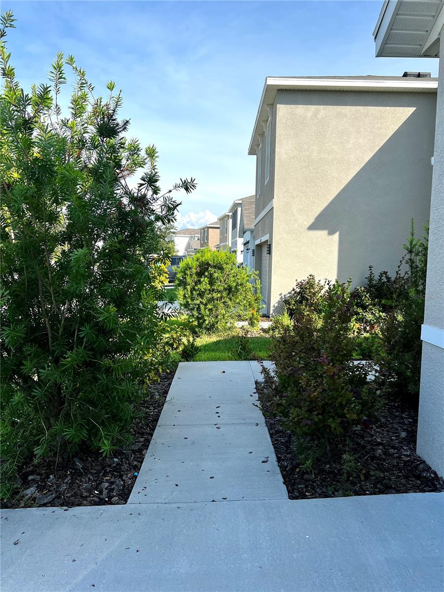 16034 SOFT FERN TRCE, ODESSA, FL, 33556