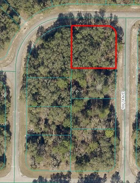 TBD SW 74TH AVE, OCALA, FL, 34473