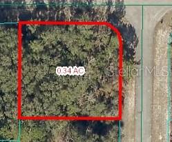 TBD SW 74TH AVE, OCALA, FL, 34473
