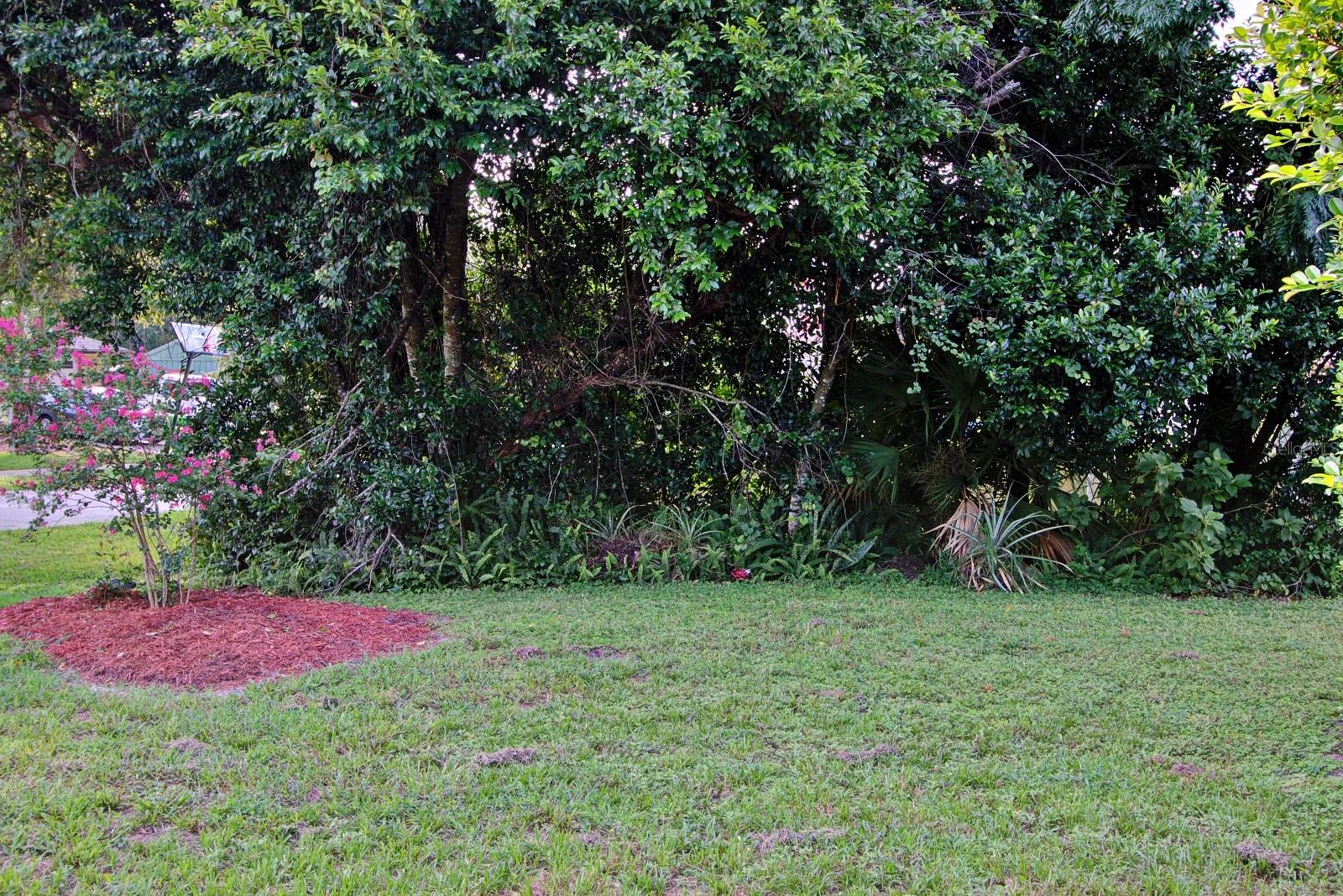 2516 ALBURY AVE, DELTONA, FL, 32738