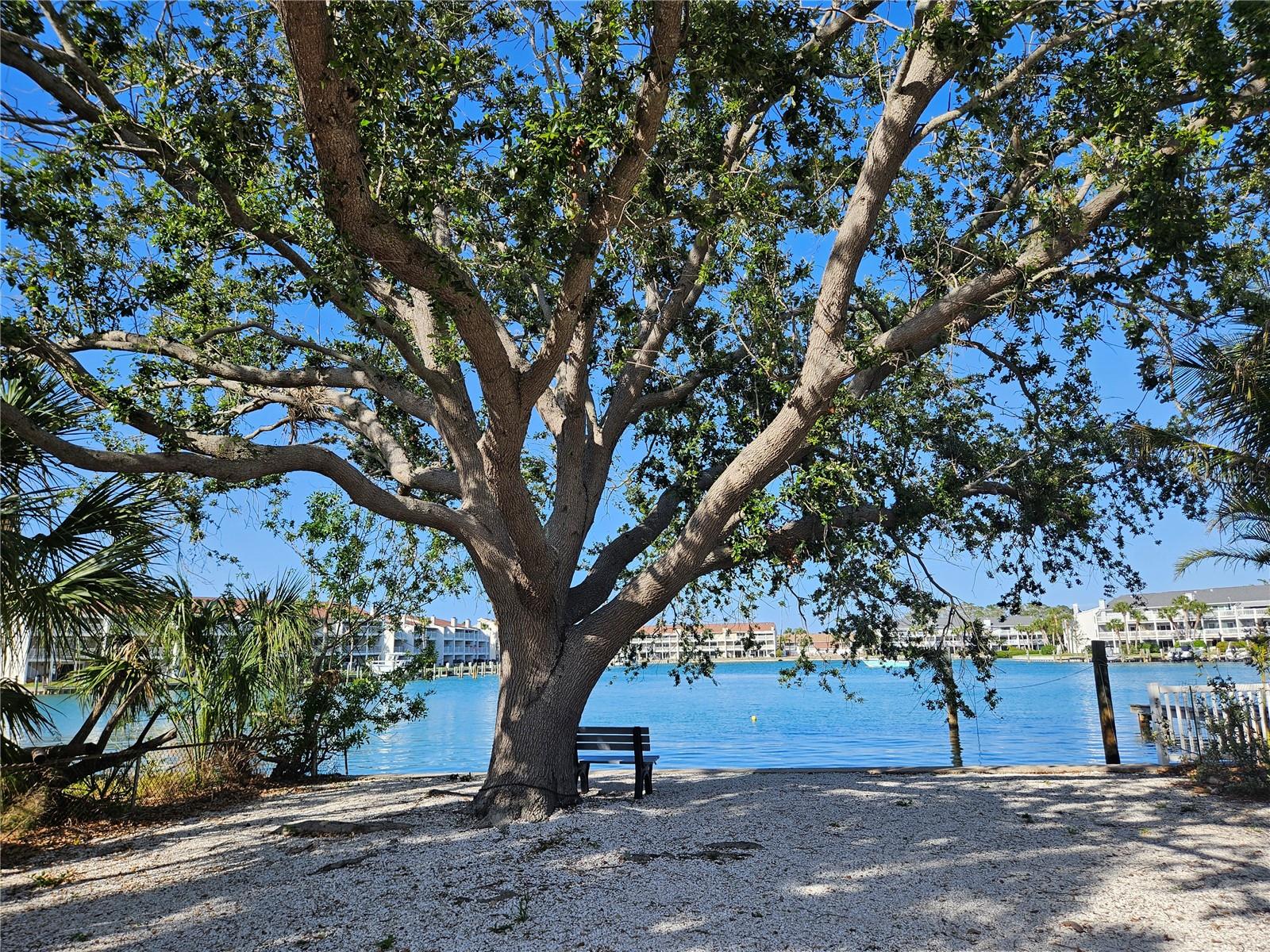 126 119TH AVE, TREASURE ISLAND, FL, 33706
