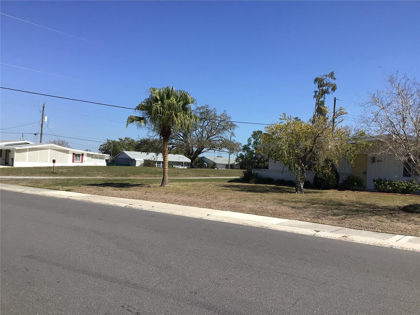1306 CHERRY HILLS DR, SUN CITY CENTER, FL, 33573