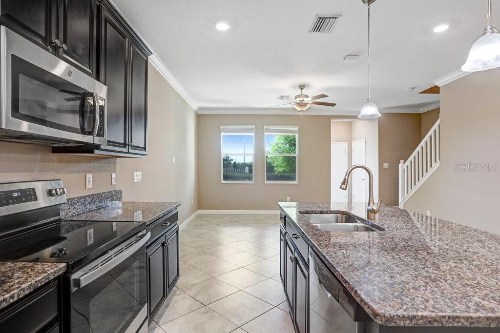 18737 NOBLE CASPIAN DR, LUTZ, FL, 33558