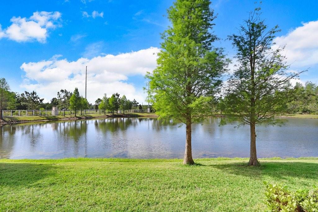 18737 NOBLE CASPIAN DR, LUTZ, FL, 33558