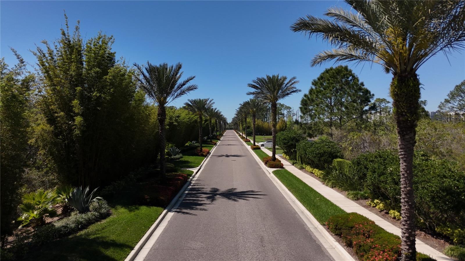 14501 GROVE RESORT AVE #2112, WINTER GARDEN, FL, 34787