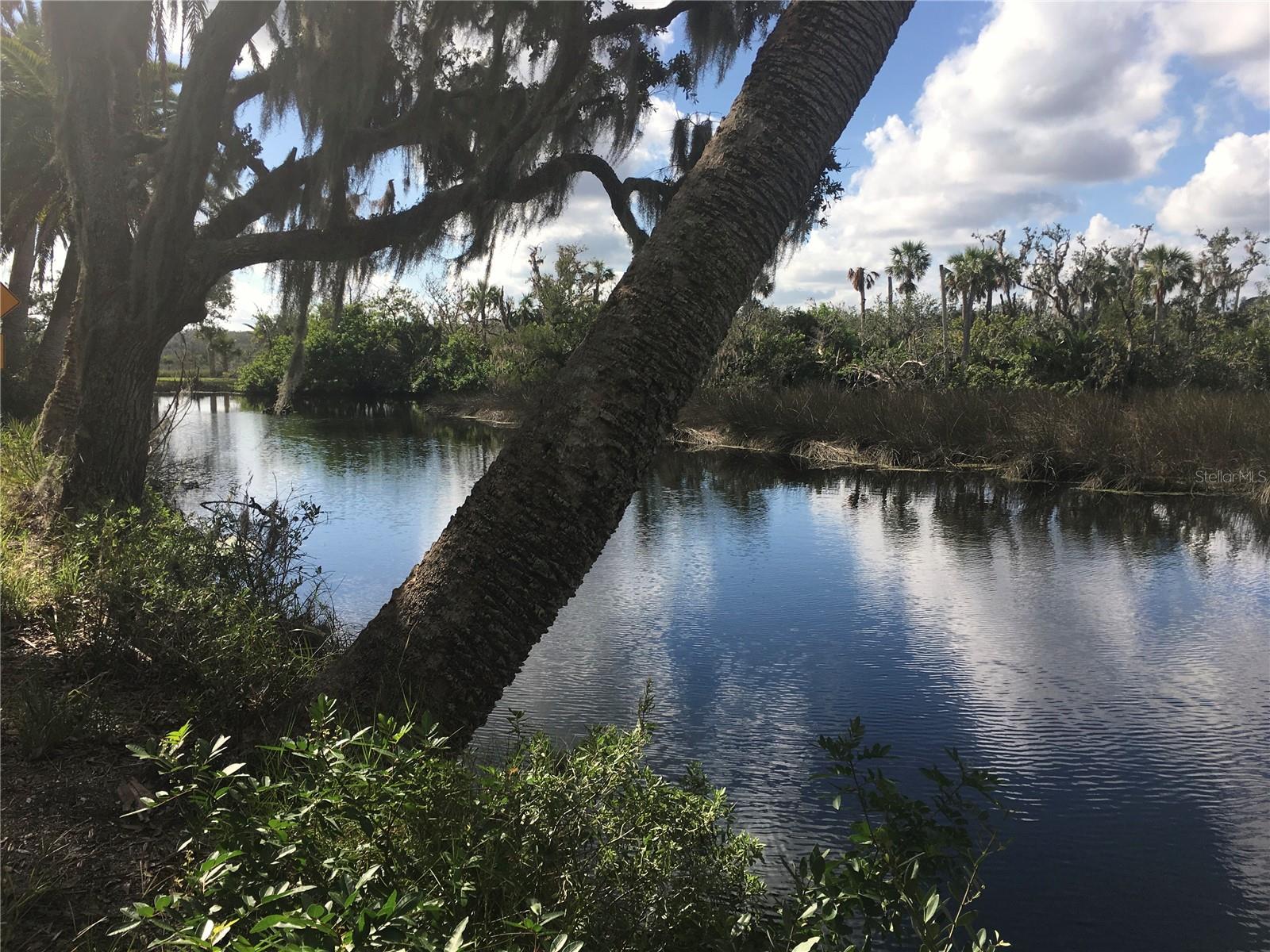 3651 S CENTRAL AVE #101, FLAGLER BEACH, FL, 32136