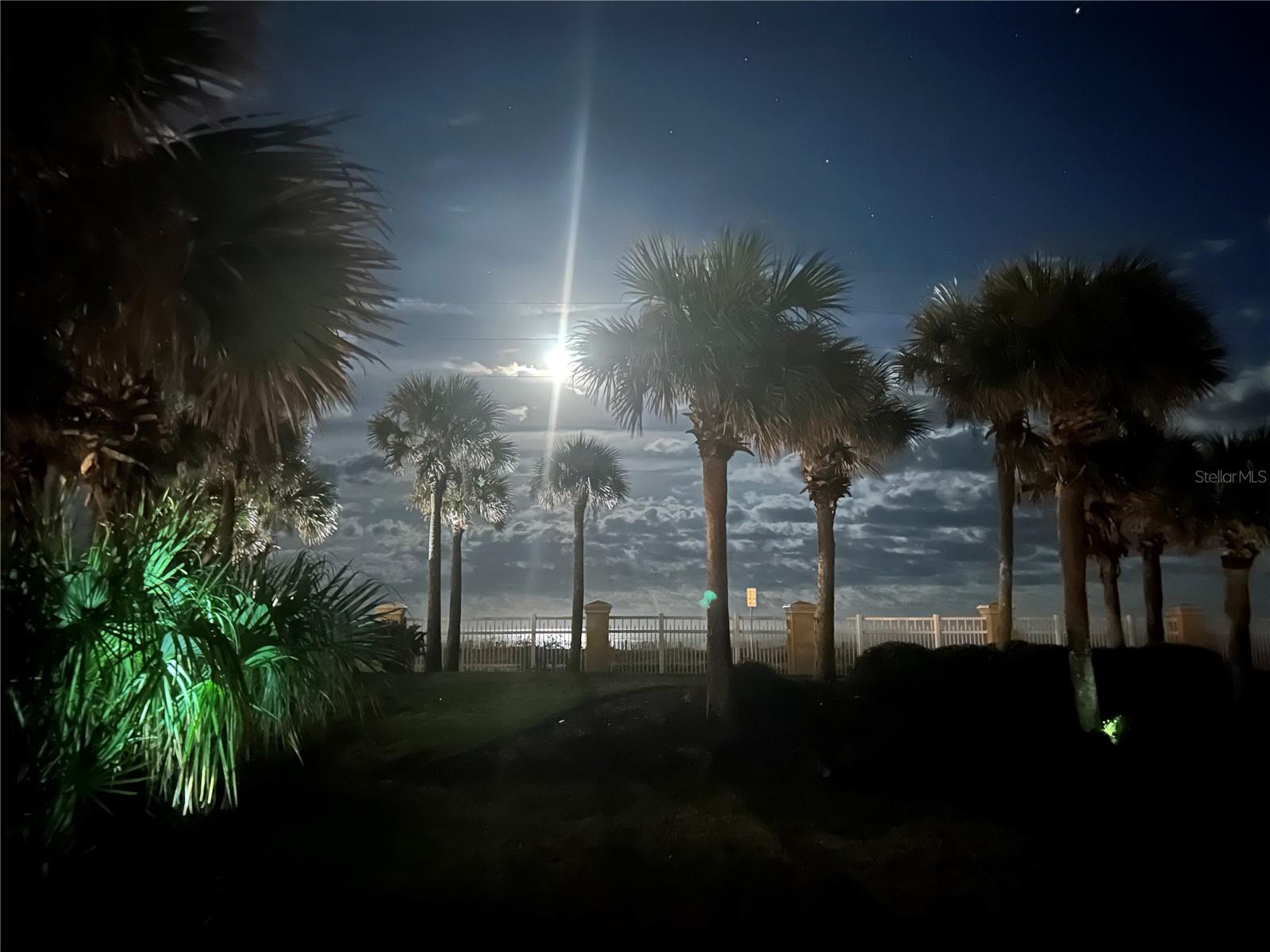3651 S CENTRAL AVE #101, FLAGLER BEACH, FL, 32136