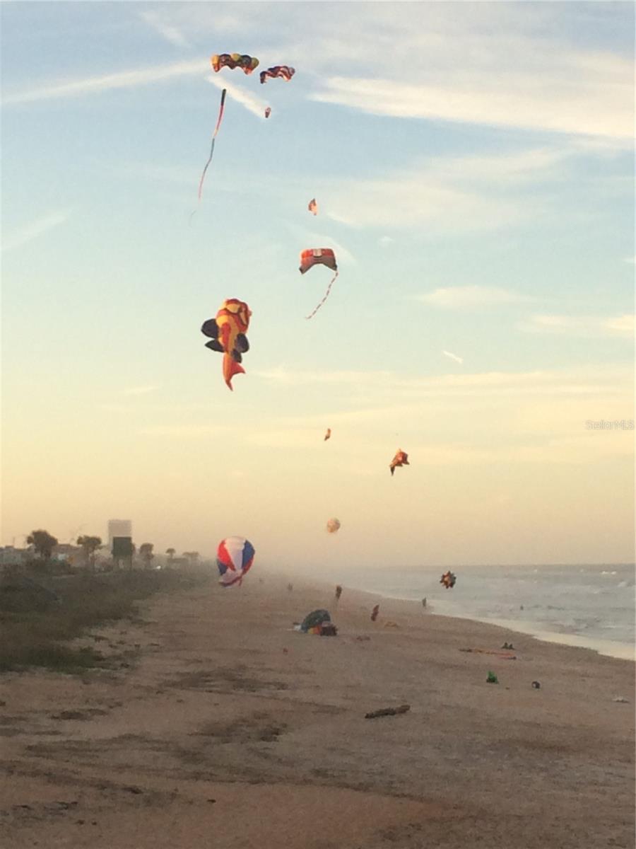 3651 S CENTRAL AVE #101, FLAGLER BEACH, FL, 32136