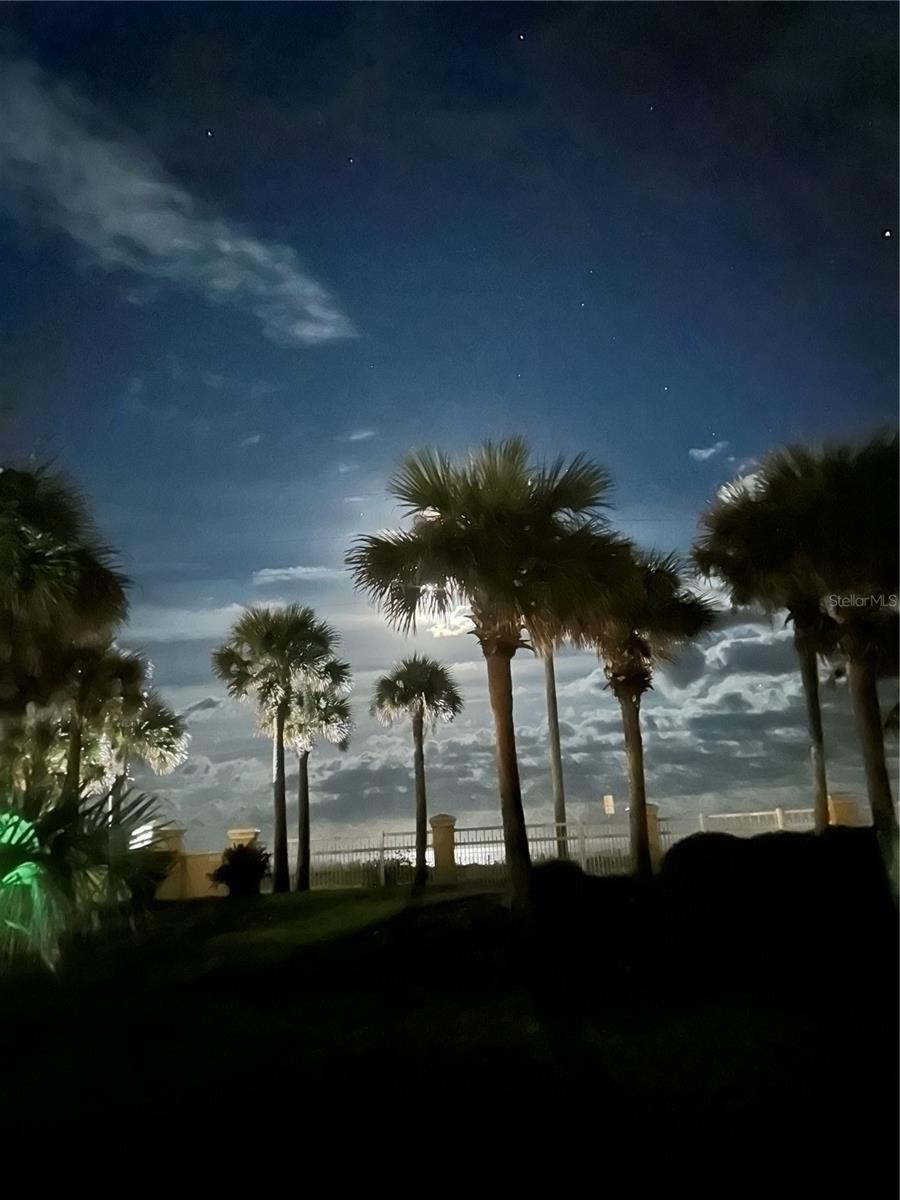 3651 S CENTRAL AVE #101, FLAGLER BEACH, FL, 32136