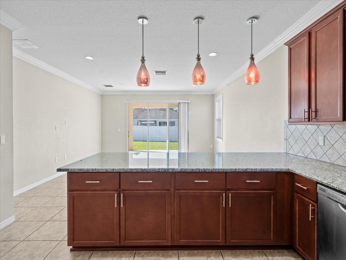 13366 BARKINGSIDE PL, SPRING HILL, FL, 34609