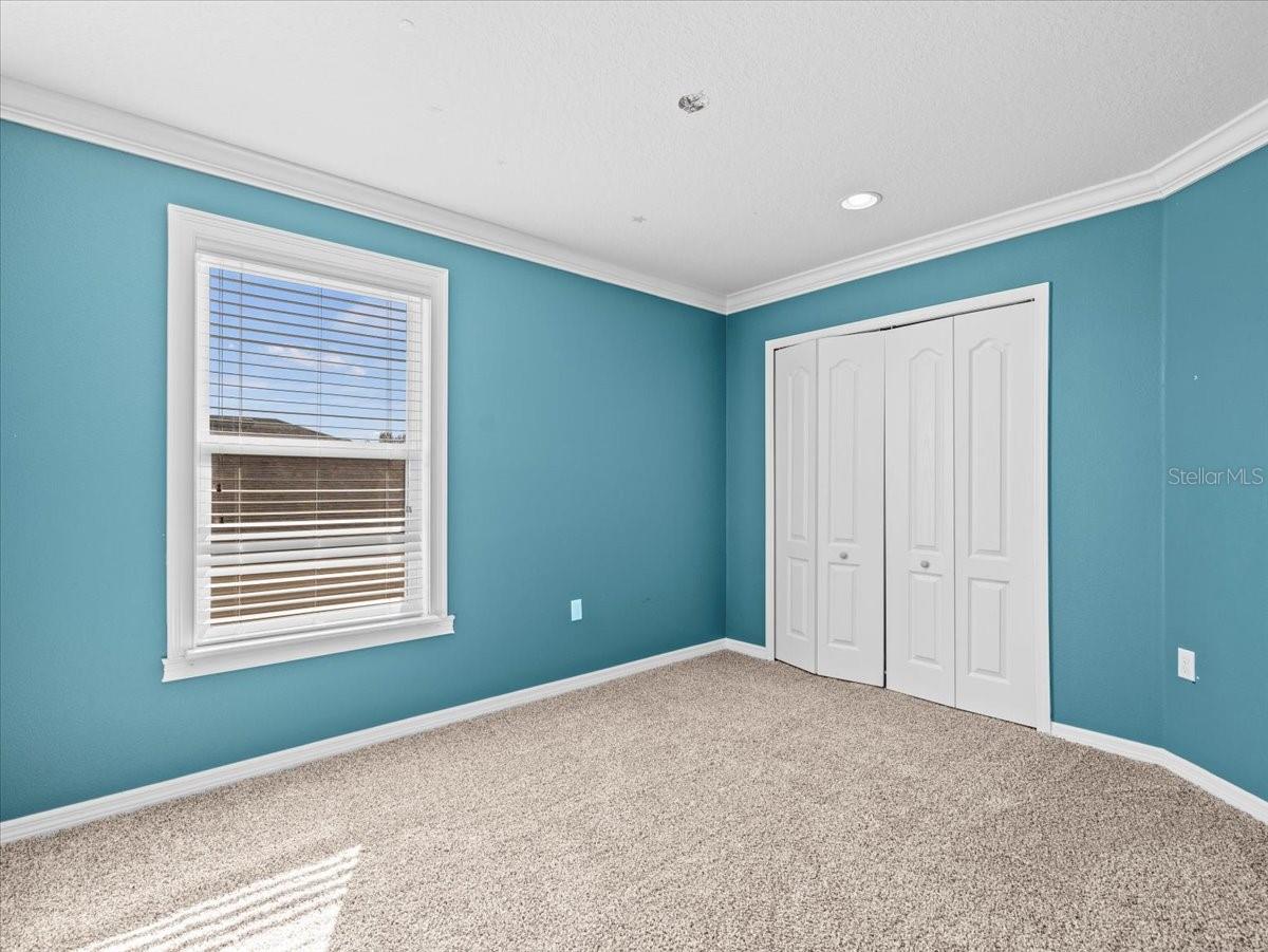 13366 BARKINGSIDE PL, SPRING HILL, FL, 34609