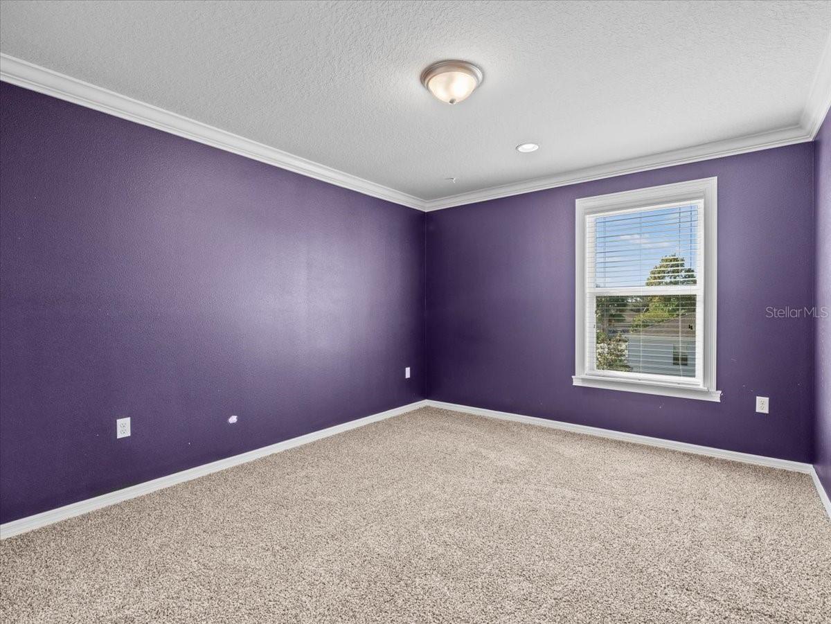 13366 BARKINGSIDE PL, SPRING HILL, FL, 34609