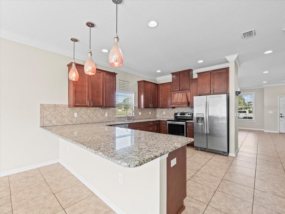 13366 BARKINGSIDE PL, SPRING HILL, FL, 34609