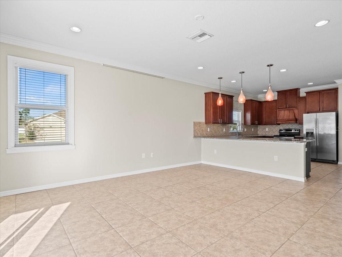 13366 BARKINGSIDE PL, SPRING HILL, FL, 34609