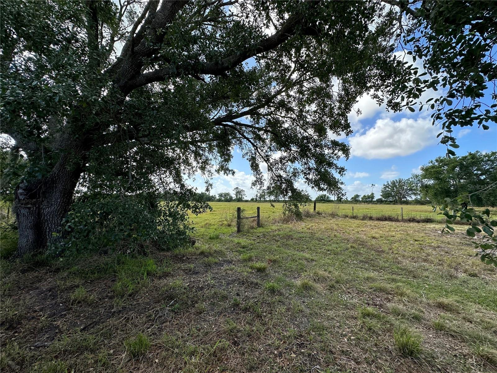 7672 SE PINE ISLAND RD, ARCADIA, FL, 34266