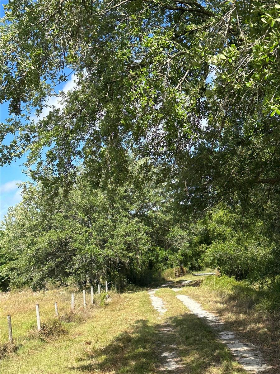7672 SE PINE ISLAND RD, ARCADIA, FL, 34266