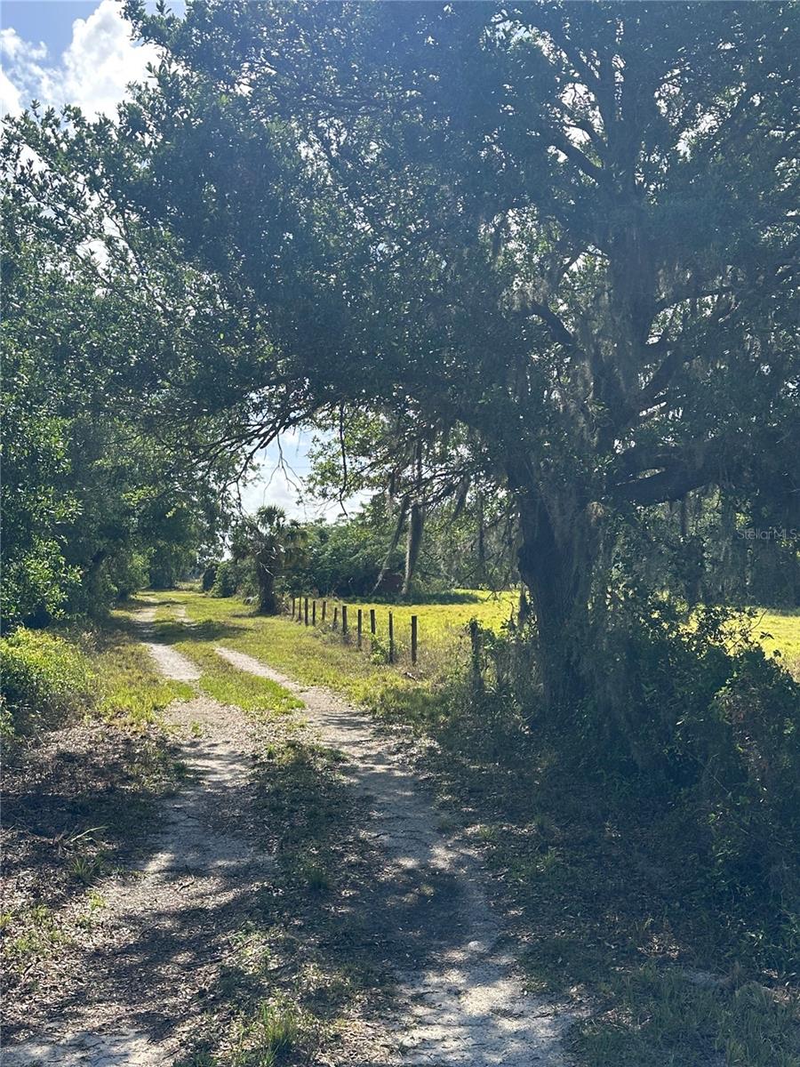 7672 SE PINE ISLAND RD, ARCADIA, FL, 34266
